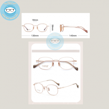 Gọng kính kim loại mã 6110